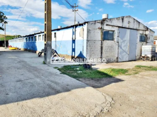 Hale cu suprafete utile de 832 mp si 578 mp. birouri 187 mp