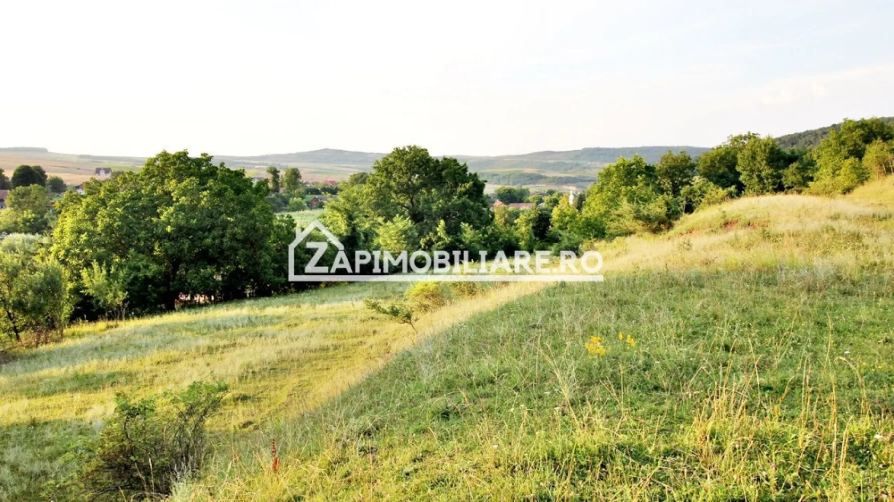 Teren Intravilan,5.000mp cu utilităti si proiect casă 12e mp