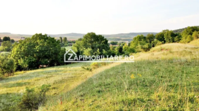 Teren Intravilan,5.000mp cu utilităti si proiect casă 12e mp