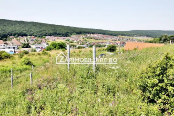 Teren 5.000 mp Corunca in spate la Dacia 40 euro mp