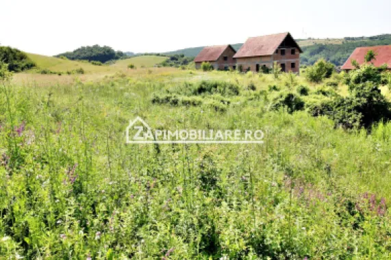 Teren 5.000 mp Corunca in spate la Dacia 40 euro mp
