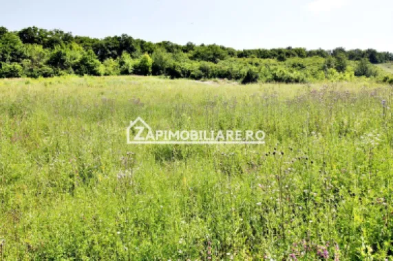 Teren 5.000 mp Corunca in spate la Dacia 40 euro mp