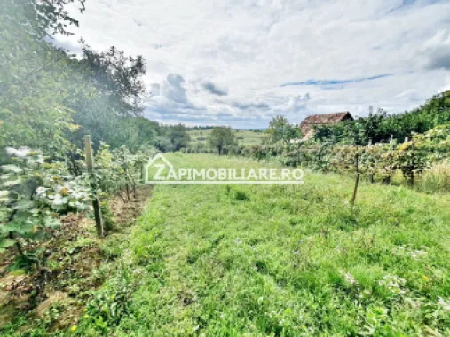 Teren 3.412 mp,zona Belvedere 45 euro mp