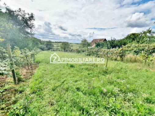 Teren 3.412 mp,zona Belvedere 45 euro mp