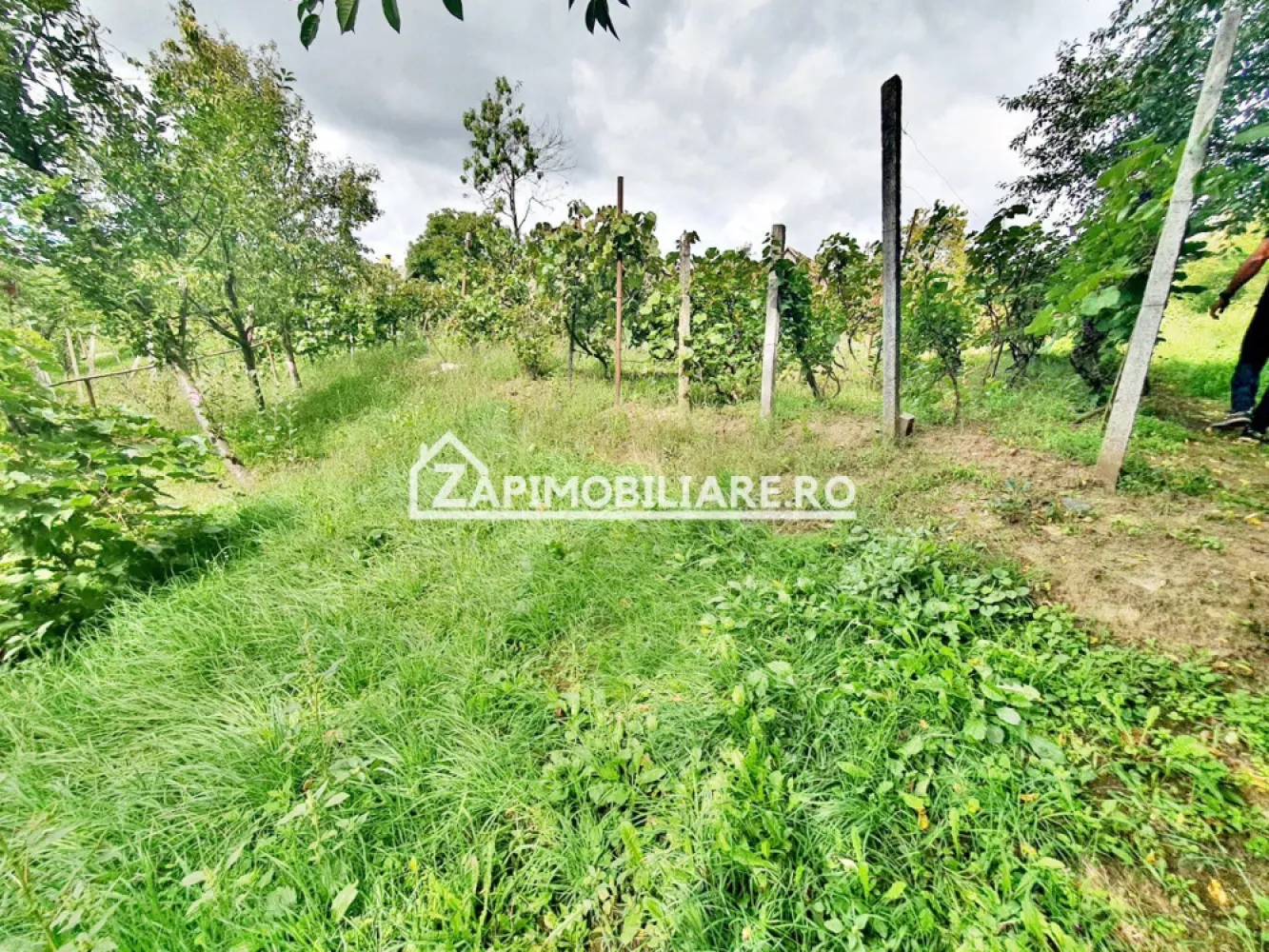Teren 3.412 mp,zona Belvedere 45 euro mp