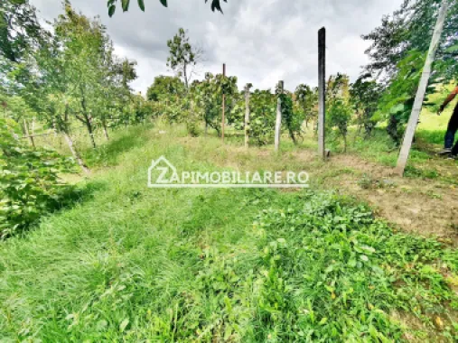 Teren 3.412 mp,zona Belvedere 45 euro mp
