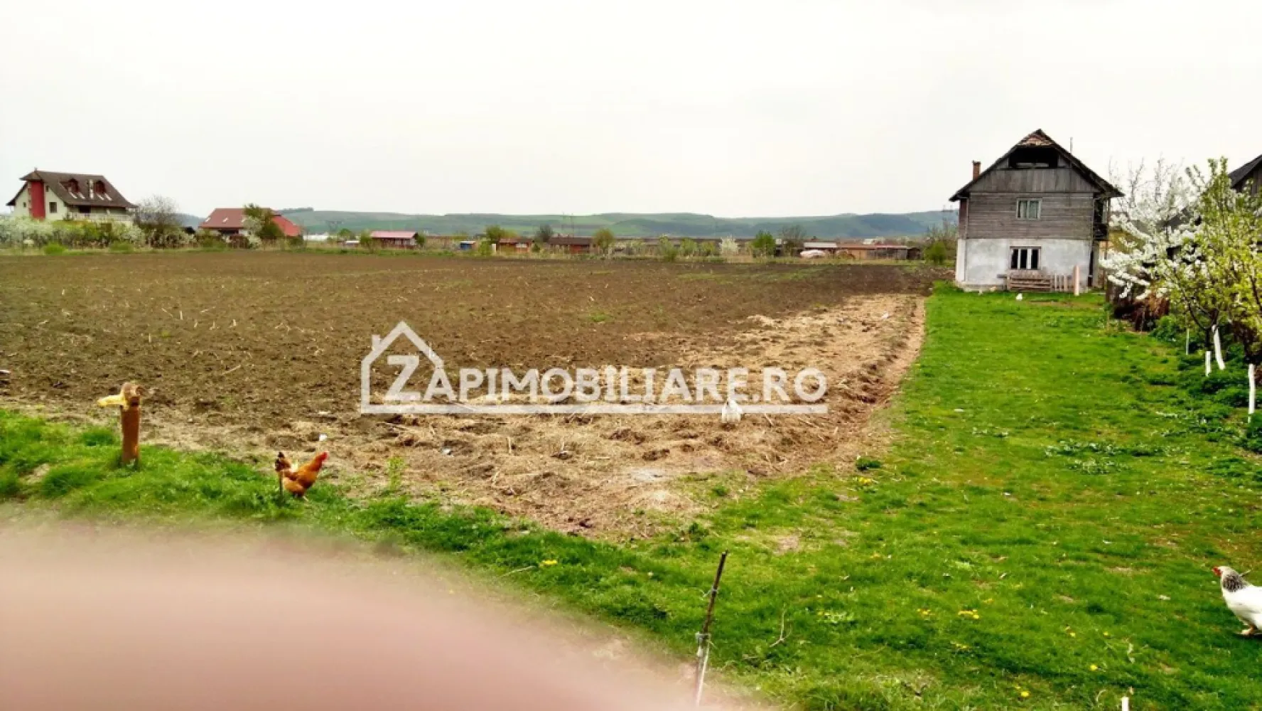 Teren 5800 mp,150m de Aeroport deschidere 58m la E60,20 euro - De vânzare 5.800 mp. de teren în localitatea Recea, 150 m de Aeroport, utilității în zonă front stradal 58 m. terenul se vinde la prețul de 20 euro mp. 109 500 Euro negociabil. Comisionul este ZERO!
Dacă vă place această ofertă - sau pentru alte informații sunați la numărul de contact din anunț! 
Compania Zap Imobiliare vă pune la dispoziție toate informațiile, actele și documentele necesare alături de asistență și consiliere permanentă până la finalizarea achiziției imobiliare. Ne dorim să îți oferim cea mai plăcută experiență.