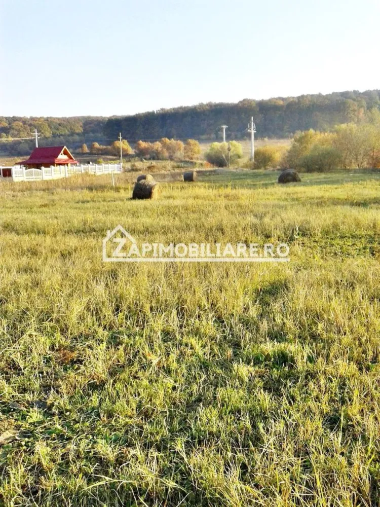 Teren 780 mp, Livezeni cu PUG aprobat recent,asfalt