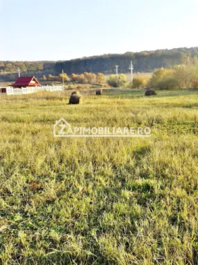 Teren 780 mp, Livezeni cu PUG aprobat recent,asfalt