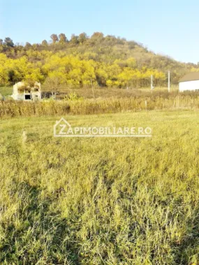 Teren 780 mp, Livezeni cu PUG aprobat recent,asfalt
