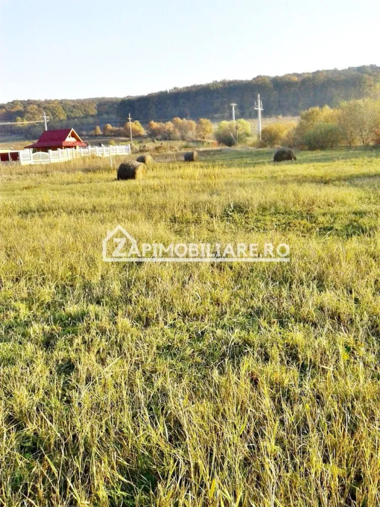 Teren 780 mp, Livezeni cu PUG aprobat recent,asfalt