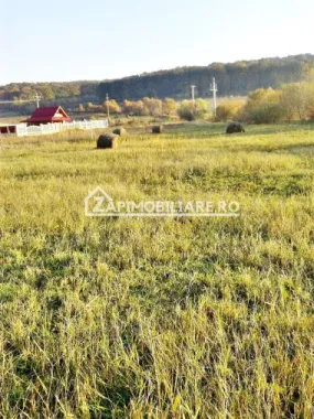 Teren 780 mp, Livezeni cu PUG aprobat recent,asfalt