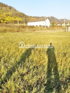 Teren 780 mp, Livezeni cu PUG aprobat recent,asfalt