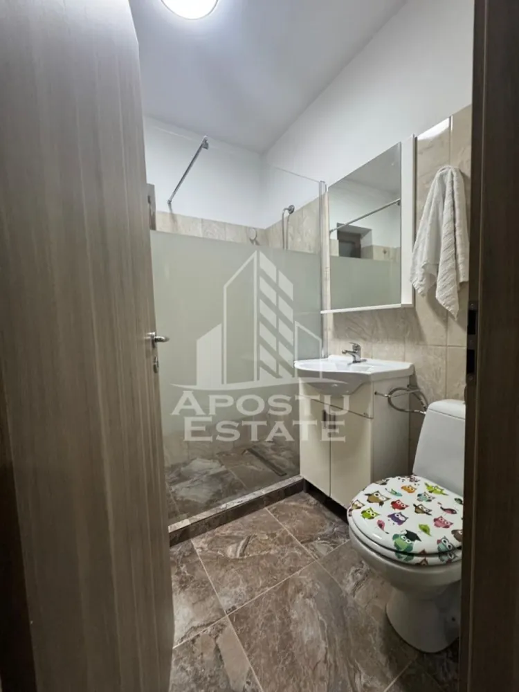 Casa 4 camere de inchiriat, comuna Sag, Timis