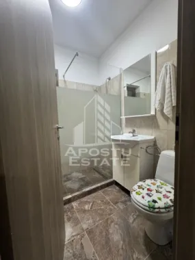 Casa 4 camere de inchiriat, comuna Sag, Timis