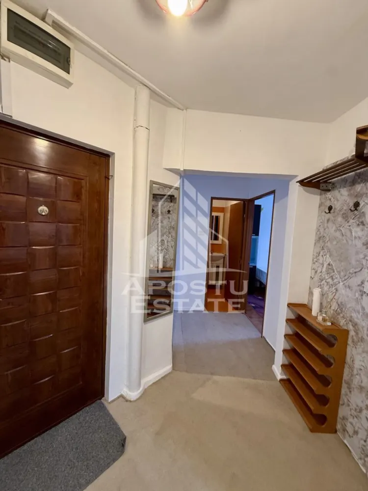 Apartament 3 camere, pet-friendly, de inchiriat, Dambovita, Timisoara