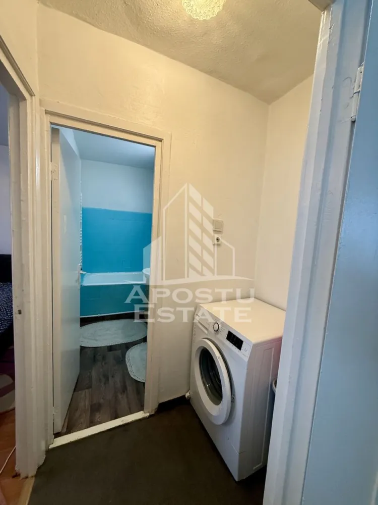 Apartament 3 camere, pet-friendly, de inchiriat, Dambovita, Timisoara