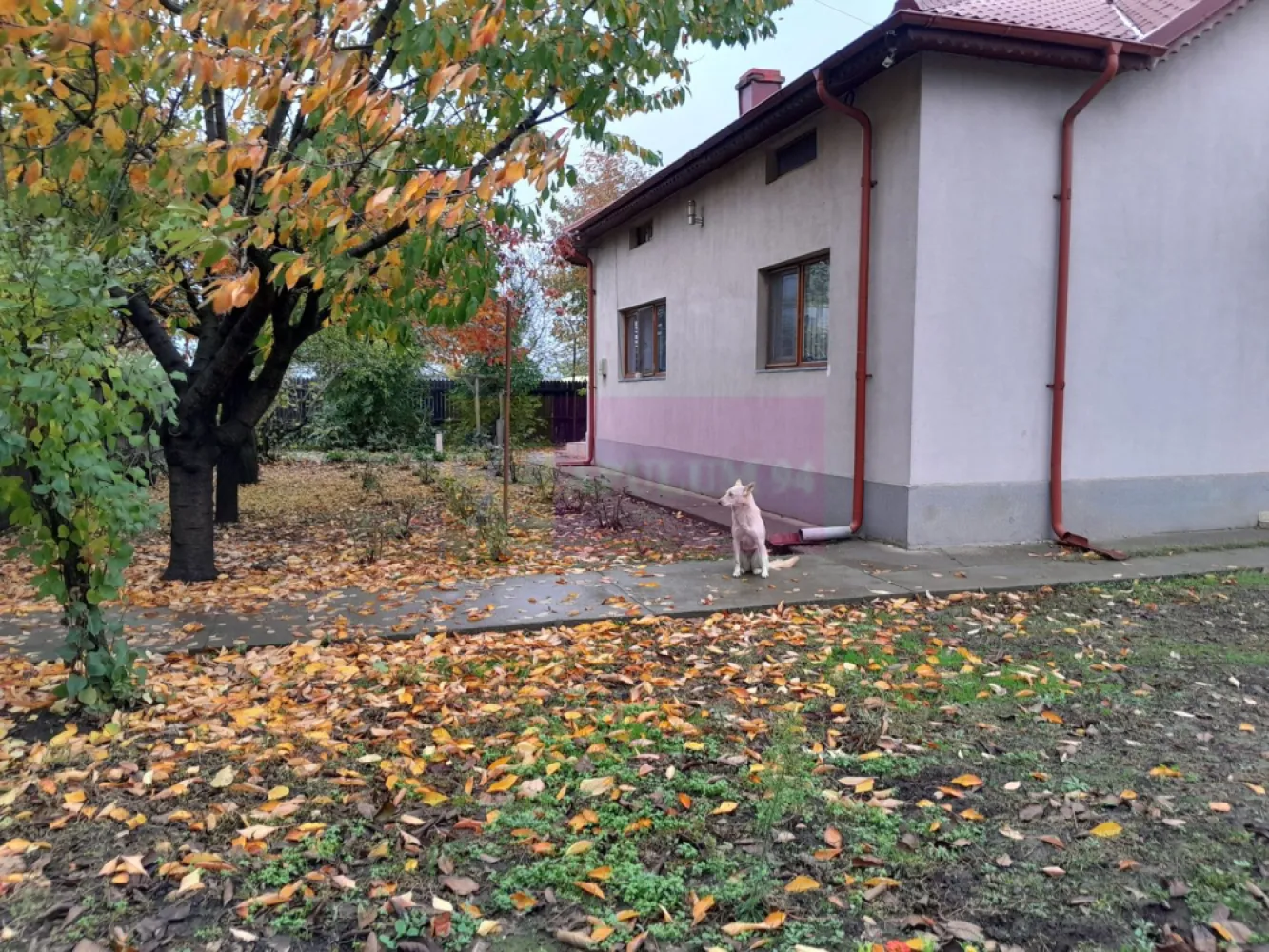 ISLAZ / IF - CASA P+1 (7 CAM) DE VANZARE - Compania Imobiliara Apulum94 are deosebita placere sa va propuna spre vanzare o casa individuala situata pe strada Doina nr. 1A, in sat Islaz, com. Branesti, judetul Ilfov, o proprietate ideala pentru cei care cauta liniste, spatiu si acces facil catre capitala; casa este situata la doar 25 km de Bucuresti (30 min cu masina).

Proprietatea are o suprafata utila de 300 mp si un teren generos de 1500 mp, fiind ideala pentru familii cu copii mici care cauta o proprietate versatila , aproape de zona metropolitana care sa ofere la pachet liniste / intimitate, spatiu si confort optim.

Casa este construita pe formula P+1 (receptia lucrarilor in 2010) fiind compusa din 7 camere, avand 6 dormitoare si un living spatios la parter, bucataria este complet mobilata amenajata in incapere inchisa,; baie amenajata pe fiecare nivel.

Pentru incalzire iarna si apa calda curenta exista instalata o centrala termica pe gaz; este instalata incalzire in partoseala. Casa este racordata la utilitatile de baza: apa, canalizare, cuent electric si gaze.

Casa are urmatoarele facilitati: 
- bucatarie vara
- garaj
-doua magazii
-beci
-foisor amplasat deasupra beciului

Cateva specificatii tehnice generale/dotari:

- structura de rezistenta: stalpi beton armat, planseu beton armat
- zidarie exterioara si compartimentari interioare cu caramida
- geamuri termopan profil PVC,
- termoizolare exterioara cu polistiren + tencuiala decorativa

Sunt disponibile 2 locuri de parcare in curte.

Mentionez ca pretul casei este usor negociabil.

Comision la cumpararator: 0!

Pentru detalii suplimentare, ma puteti contacta la 0.7.3.3.6.8.3.4.5.6.

Agent imobiliar: Aurelian Popescu
Apulum94 - Un partener de cursa lunga!