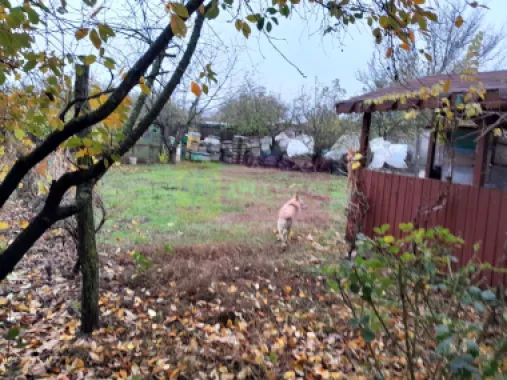 ISLAZ / IF - CASA P+1 (7 CAM) DE VANZARE