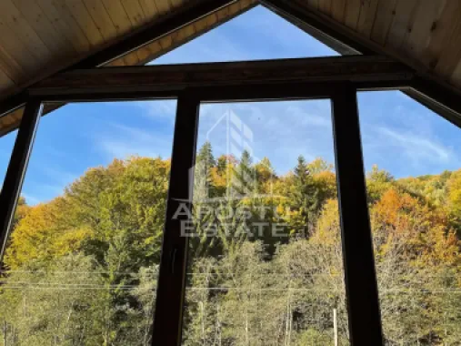 Cabana de inchiriat in Apuseni, Ciubar, Fara vecini, Foisor, Atv