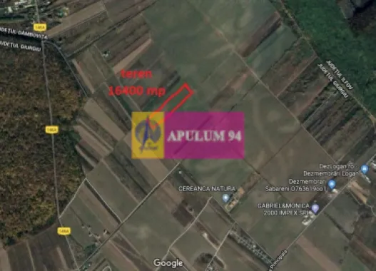 Logo Apulum94 logo