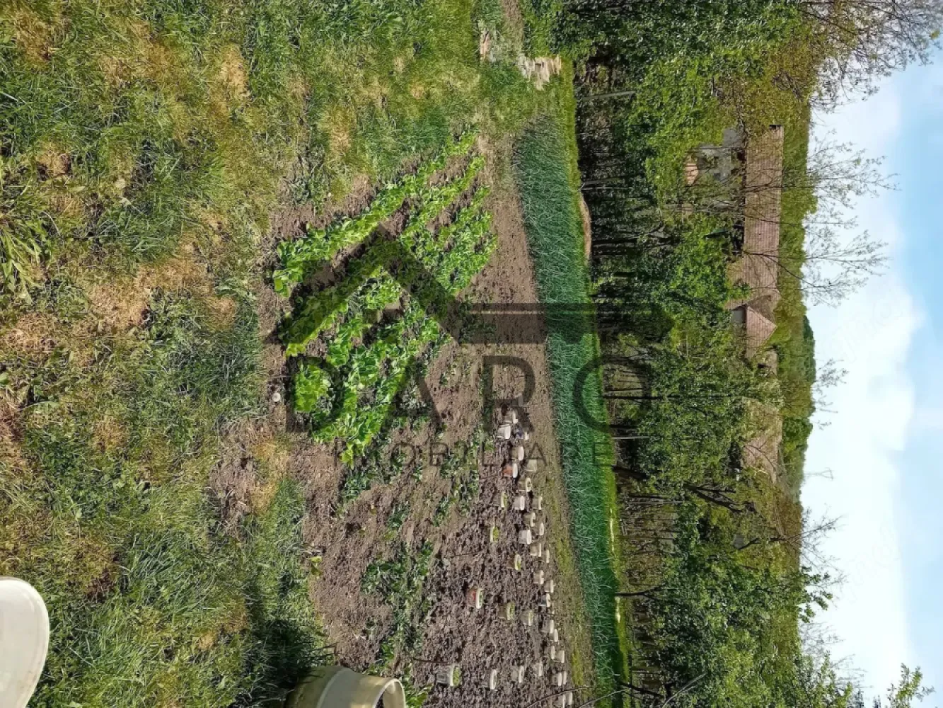 Casa de vinzare - Se vinde casa în localitatea craciunesti sat cornesti. Casa este o construcție extrem de solida. 2 camere bucătărie loc ptru baie. Cămară. Și un antreu. Suprafața terenului 800 mp. La 10 km de tg mures. În partea de vizavii al curții se mai poate înaltă o casa. Sau se poate face etaj. Mansarda pe actual. Pivniță. Și anexe gospodărești. Este o fintina cu un izvor super. Orice seceta sa fie acolo ai apa. Apa potabila de la rețea este la poarta și canalizarea