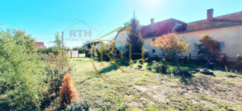 Oferim spre vanzare, Casa cu 5 camere, teren 1500 mp, Beregsau Mare