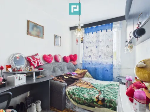 3 camere la super pret – Str. Borsecului