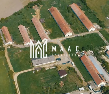Logo MAAC IMOBILIARE logo