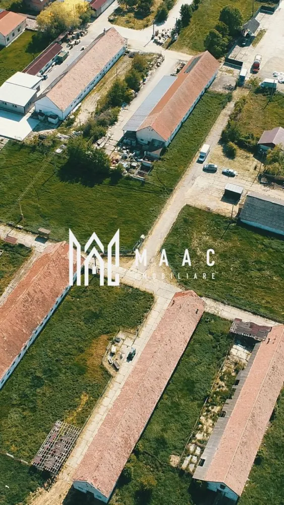 Teren intravilan I 63.980 mp I Front Stradal I Apoldu de Sus - MAAC Imobiliare propune spre vânzare un lot de teren intravilan situat în localitatea Apoldu de Sus, județul Sibiu, ideal pentru dezvoltări rezidențiale sau industriale.

Terenul are o suprafață generoasă de 63.980 mp, este drept, fără înclinație, și beneficiază de un front stradal de aproximativ 160 m, oferind multiple posibilități de parcelare sau dezvoltare.

Pe teren se află construcții tip hală pentru creșterea animalelor, care pot fi modernizate sau demolate, în funcție de necesitățile viitorului proprietar.

Utilități și facilități
Apă menajeră – racord existent
Electricitate trifazică – ideală pentru activități industriale
Supraveghere video
Acces auto pentru trafic ușor și greu, potrivit pentru logistică sau exploatare industrială

Proprietatea reprezintă o oportunitate excelentă atât pentru investiții, cât și pentru dezvoltări de amploare într-o zonă cu accesibilitate bună și potențial ridicat.

Pentru mai multe detalii contactați MAAC Imobiliare, specificând ID CP3112893.