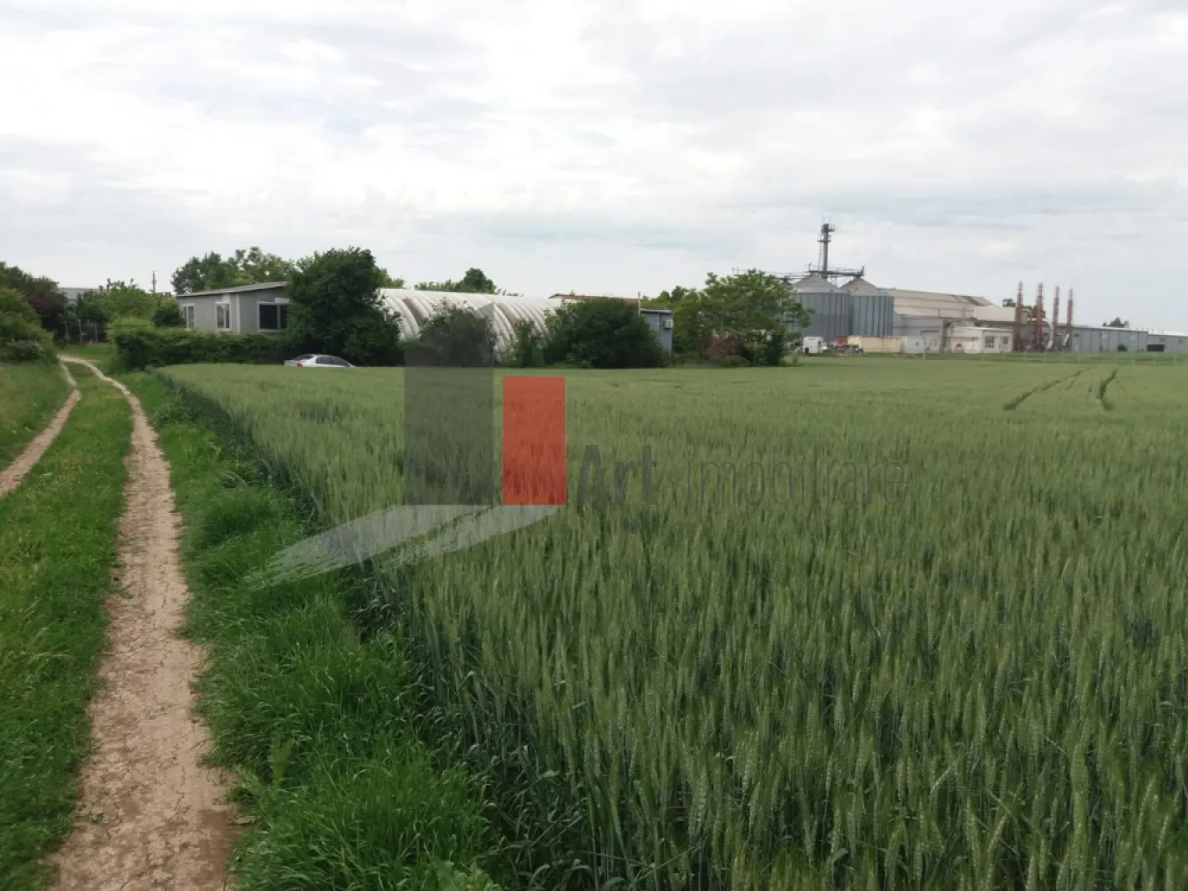 Teren Buftea cu iesire la lac - Art Imobiliare va ofera spre vanzare un teren intravilan constructii cu deschidere la lacul Colentina de 60 ml, unde cu usurinta se poate amenaja un ponton pentru cei pasionati de sporturi nautice, sau de ce nu locuri de pescuit. Avand in vedere suprafata generoasa de 3000mp, este pretabil atat pentru un complex rezidential cat si pentru cineva care isi doreste o locuinta mai retrasa 
 Pentru orice informatie nu ezitati sa ne contactati.