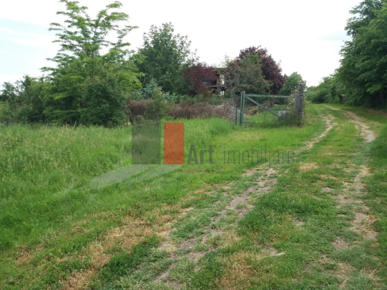 Teren Buftea cu iesire la lac - Art Imobiliare va ofera spre vanzare un teren intravilan constructii cu deschidere la lacul Colentina de 60 ml, unde cu usurinta se poate amenaja un ponton pentru cei pasionati de sporturi nautice, sau de ce nu locuri de pescuit. Avand in vedere suprafata generoasa de 3000mp, este pretabil atat pentru un complex rezidential cat si pentru cineva care isi doreste o locuinta mai retrasa 
 Pentru orice informatie nu ezitati sa ne contactati.