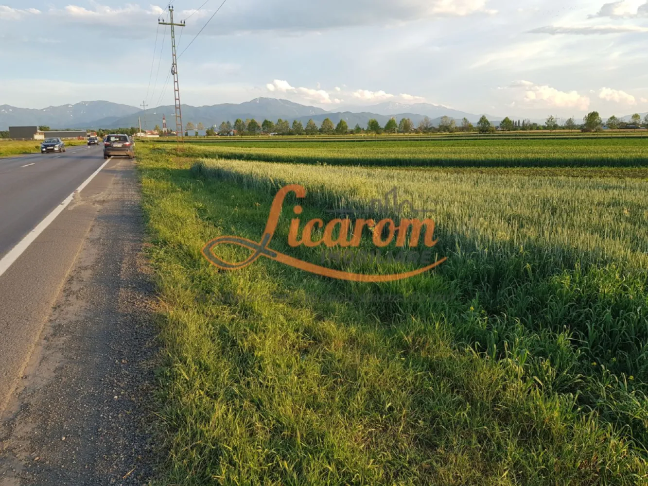 Teren Stupini Calea Feldioarei 4600 mp,front asfalt-DN13 - OPORTUNITATE INVESTITIE!!
Agentia Licarom Imobiliare propune spre vanzare un teren in suprafata de 4600 mp la iesirea din Brasov - Stupini, pe DN 13 .
Terenul este plan si are o deschidere la asfalt la DN 13 de 14,80 ml. .
Zona pretabila SPALATORIE SELF SERVICE, SHOWROOM, HALE PT INDUSTRIE,sI ALTE TIPURI DE DEZVOLTARE IMOBILIARA (in apropiere se afla Cartierul de vile, exclusivist "STUPINII NOI") .
Momentan terenul este incadrat in categoria agricol extravilan ,existand posibiliatatea schimbarii destinatiei si incadrarii in teren intravilan, in baza realizarii unui PUZ .
In zona exista utilitati : curent electric,gaz,apa,peste drum fiind sediul unei firme mari.

Pretul este de 19 euro/ mp .
Pentru tranzactionarea acestei proprietati,agentia imobiliara percepe comision de 3%.

Pentru mai multe relatii si vizionari,nu ezitati sa ne contactati la telefon 0741059397 Consultant imobiliar Calin si 0723985424 Consultant Imobiliar Liliana