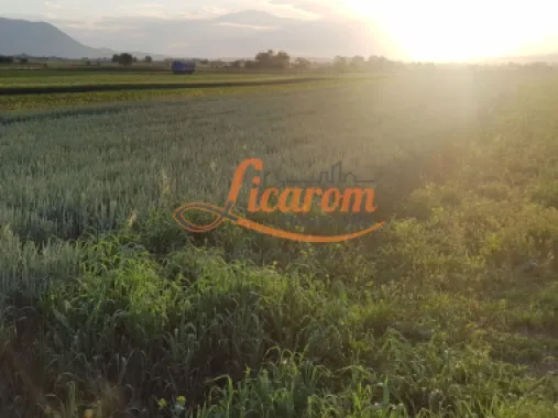 Teren Stupini Calea Feldioarei 4600 mp,front asfalt-DN13