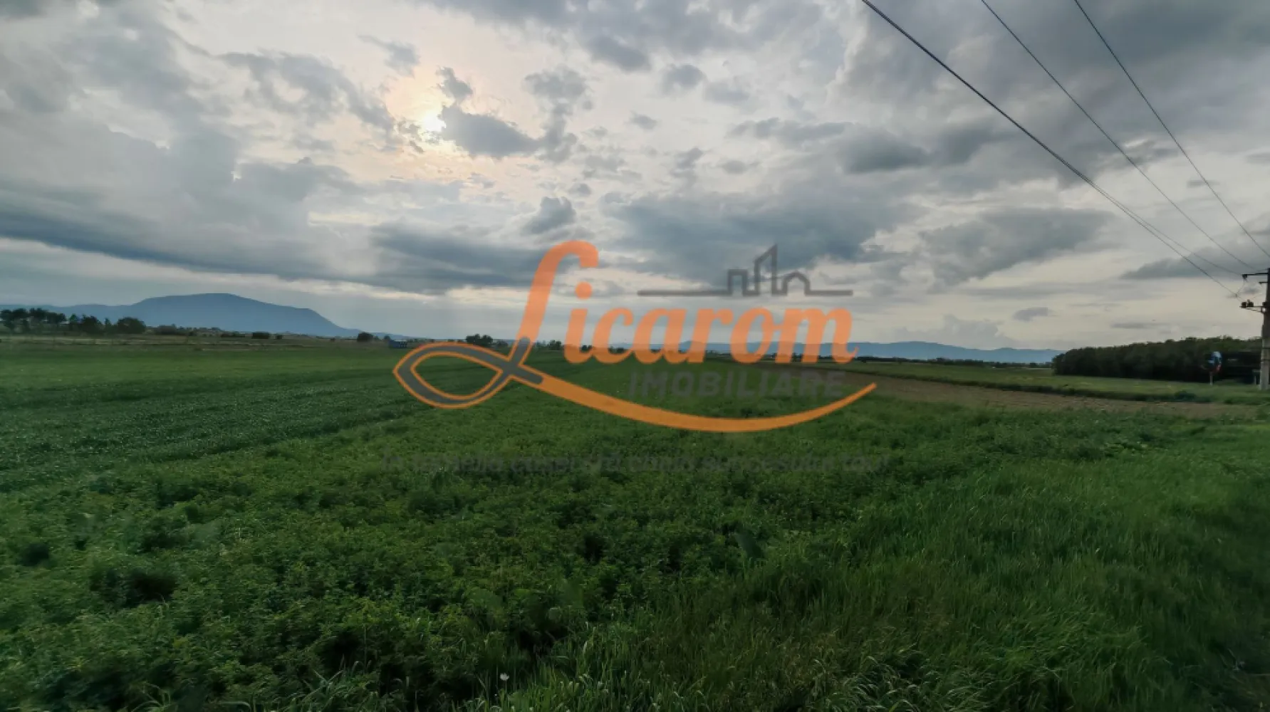 Teren Stupini Calea Feldioarei 4600 mp,front asfalt-DN13 - OPORTUNITATE INVESTITIE!!
Agentia Licarom Imobiliare propune spre vanzare un teren in suprafata de 4600 mp la iesirea din Brasov - Stupini, pe DN 13 .
Terenul este plan si are o deschidere la asfalt la DN 13 de 14,80 ml. .
Zona pretabila SPALATORIE SELF SERVICE, SHOWROOM, HALE PT INDUSTRIE,sI ALTE TIPURI DE DEZVOLTARE IMOBILIARA (in apropiere se afla Cartierul de vile, exclusivist "STUPINII NOI") .
Momentan terenul este incadrat in categoria agricol extravilan ,existand posibiliatatea schimbarii destinatiei si incadrarii in teren intravilan, in baza realizarii unui PUZ .
In zona exista utilitati : curent electric,gaz,apa,peste drum fiind sediul unei firme mari.

Pretul este de 19 euro/ mp .
Pentru tranzactionarea acestei proprietati,agentia imobiliara percepe comision de 3%.

Pentru mai multe relatii si vizionari,nu ezitati sa ne contactati la telefon 0741059397 Consultant imobiliar Calin si 0723985424 Consultant Imobiliar Liliana