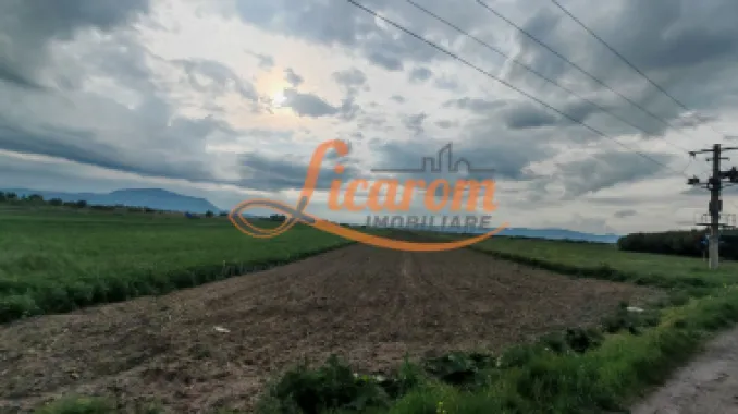 Teren Stupini Calea Feldioarei 4600 mp,front asfalt-DN13