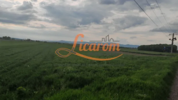Teren Stupini Calea Feldioarei 4600 mp,front asfalt-DN13