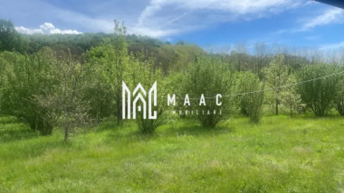 Logo MAAC IMOBILIARE logo