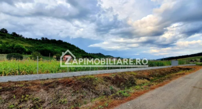 Logo ZAP IMOBILIARE logo