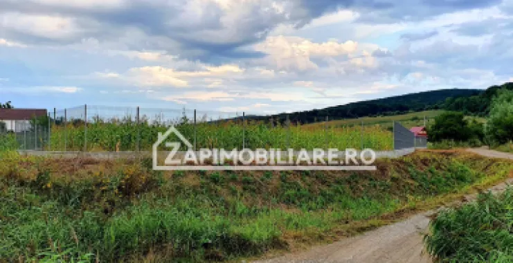 Teren intravilan 25 ari la iesire din Livezeni spre Ivanesti 48 eu /mp