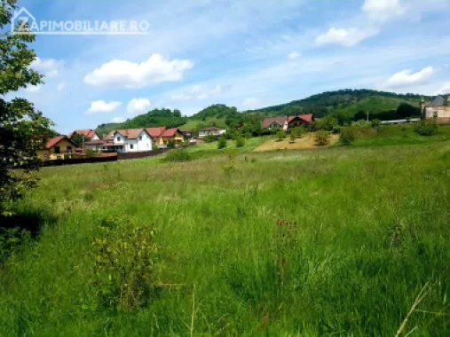 Teren intravilan 5.700 mp in Corunca,zona castelului,34 eu/mp