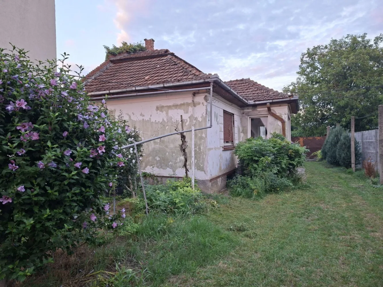 BRASADAS vinde casa individuala 2 cam teren 6 ari Titulescu. - Agenția imobiliara BRASADAS vinde casa individuala cu camere și teren aferent de 600mp in zona Titulescu 
Casa a fost construita in 1968 din piatra la fundatie si pereții din caramida si vaioaga.
Se poate întra cu mașina.
Terenul aferent poate fi mărit pana la 2.356mp.
www.brasadas.com.