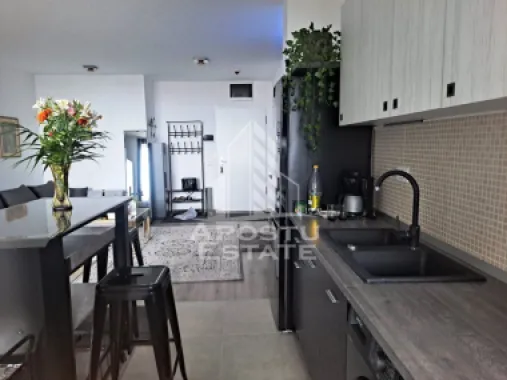 Apartament cu 2 camere, open space, zona Take Ionescu (ISHO)