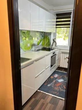De inchiriat apartament 2 camere Mazepa 2, parter, 450 E