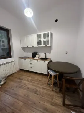 Ag BRASADAS vinde vila 8 camere Parcul Carol