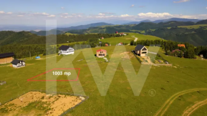 Teren 1003 mp în Păltiniș | Priveliște panoramică către munți