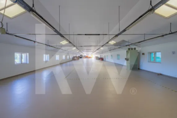 Hală industrială depozitare productie 826mp Sebeș
