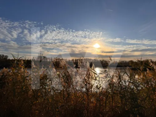 Delta Moldovei – Investiția Perfectă în Natură, Ecoturism și Dezvoltare Durabilă