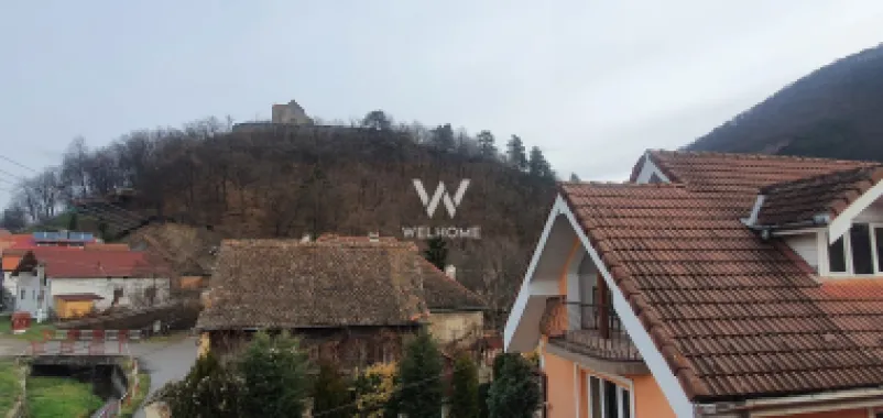 Casa single, spatiu productie/atelier, in Cisnadioara, Sibiu