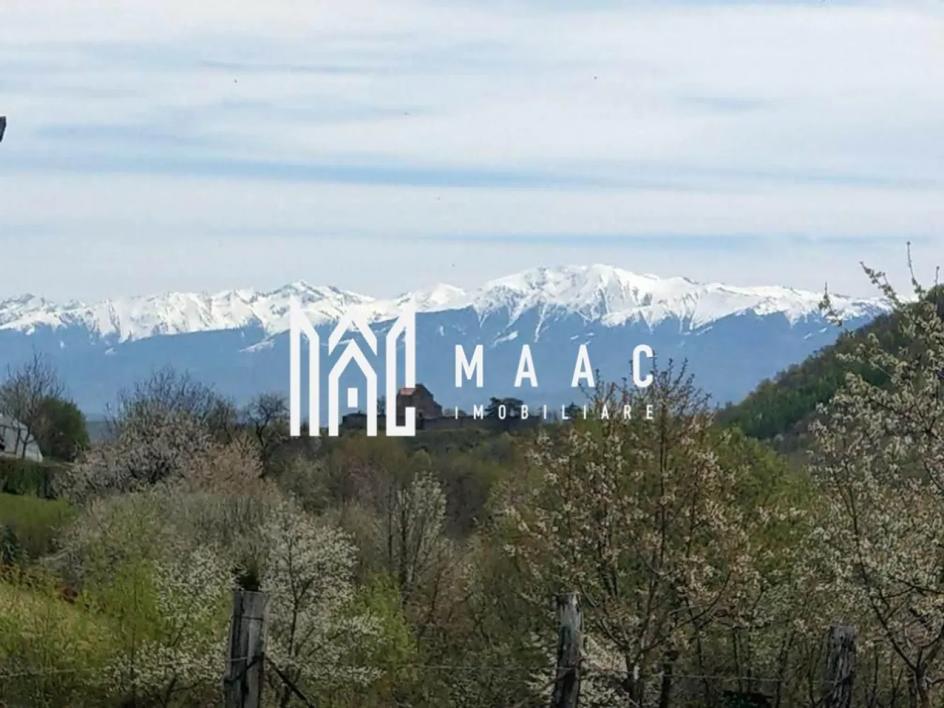 Teren intravilan I Cisnadioara I 1960 mp cu PUZ - MAAC IMOBILIRE VA PROPUNE SPREVANZARE UN TEREN INTRAVILAN O PARCELA DE 1960 MP IN LOCALITATEA CISNADIOARA - JUDETUL SIBIU

Terenul are acces de pe strada Ciresilor

Terenul are o suprafata 1960 mp ideal pentru construirea unei case rezidențiale sau unei case de vacanță, cu deschidere la drum de 29 ml / 72 ml lungime care se poate vinde integral sau si 2 parcele de 980 mp latime deschidere la drum 14,5 ml / 72 ml lungime cu PUZ aprobat.

Dacă sunteți în căutarea unui loc linistit de casă sau cabana, departe de aglomerație, Cisnădioara este alegerea cea mai potrivită. 

Drumul este pietruit latime 3 ml iar dupa cedarea drumului de 2.75 mp pe fiecare parte a drumului va avea 8,5 ml.

Caracteristici generale: 

Clasificare teren: Intravilan
Categorie de folosință: Livada
Intabulat: DA
Carte funciară: DA
Certificat de urbanism: DA
PUZ abrobat de Primaria Cisnadie pentru constructie casa : DA
Utilități: 
- Gaz la aprox 150 ml costul lucrarii undeva la 7500 euro.
- Curentul la 40 ml costul lucrarii 1000-2000 euro.
- Apă : 1500-3000 euro maxim exista proiect de introducere utilități in curs primavara-vara anul 2026 dar daca doriti mai repede singura solutie este fantana iar pentru canal fosa septica sau statie de epurare 5000 - 7000 euro cum au majoritatea locuitorilor in Cisnadioara.

Pentru mai multe detalii precizati ca ati vazut anuntul cu ID CP2911592